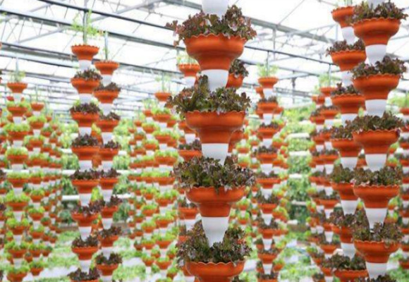 深圳第二十屆壽光菜博會游覽攻略十二個主題:深圳展覽設計